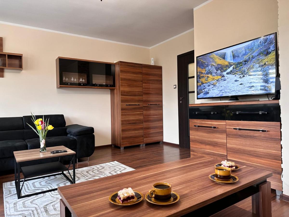 Apartament Dabrowskiego - Gliwice Kültér fotó